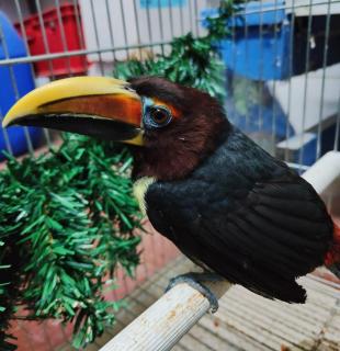 Agriturismo Villa Paradiso Esotico - 8