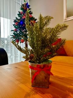 Apartament z widokiem na Szyndzielnię - Bielsko-Biała - 3