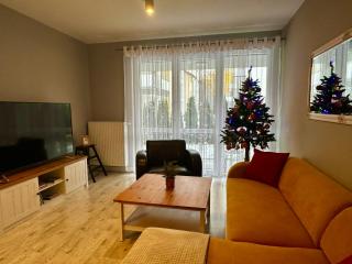 Apartament z widokiem na Szyndzielnię - Bielsko-Biała - 9
