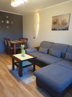 Apartament Daria - Jaworzno - 6