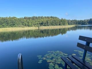 Belle ILE - Lychen - 3