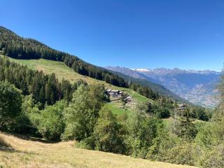 Chez Lilli - Mountain Experience - Charvensod - 9