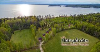 Hamgården Nature Resort Tiveden - Tived - 9