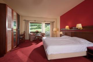 Sauerland Alpin Hotel - Schmallenberg - 1
