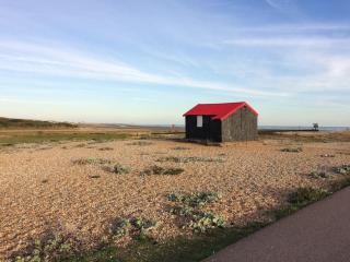 Cedarwood, an intimate and romantic cabin for two. - Icklesham - 1