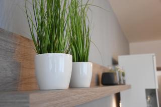 Apartmán Bára - Černý Dŭl - 5