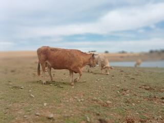 vivenda descollaz - 8