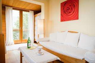 Panoramahotel Wagner - Das Biohotel am Semmering - Semmering - 3