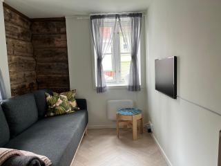 Entire renovated apartment from 1780 with Kitchen, Bath, Bedroom, and Living Room in Skuteviken - Bergen - 9