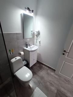 Old Town Studio 1 Apartment nr 4 - Baia Mare - 4