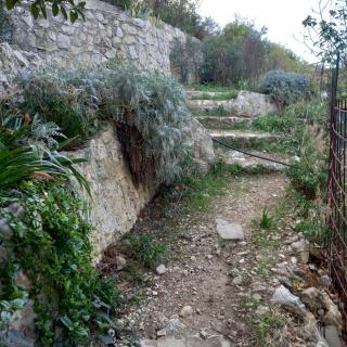 Petit studio parmi les pins et les cypres - Marseille - 5