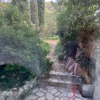 Petit studio parmi les pins et les cypres - Marseille - 4