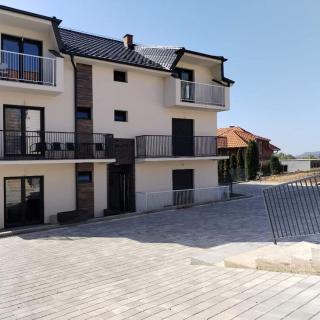 Viva Lux - Soko Banja - 1