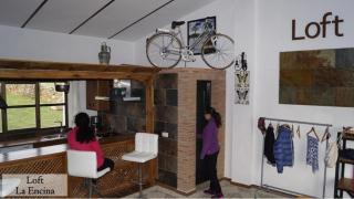 Apartamento Loft La Encina - Torrejón el Rubio - 6