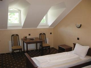 Shato Paradis Hotel - Irpin' - 9