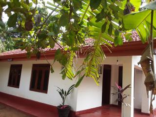 LLT budget room WILPATTU - 4