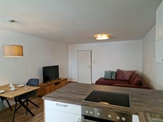 Apartment Pilz - Gosau - 6