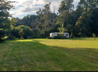 Camping - Wohnmobilstellplatz in der Mecklenburgischen Seenplatte Strom & Wasser vor Ort - Carpin - 1