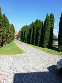 Berkenye Apartman - 3