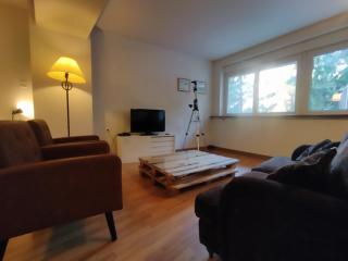 Loft Puerto de Navacerrada - Cercedilla - 8