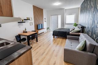 Wolkerovka Apartment 2 - Olomouc - 2