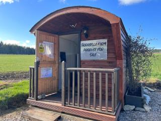 Honeysuckle Straw Bale Cabin - - 3