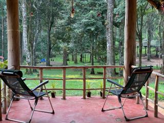 900 Woods Wayanad Eco Resort - A Sprawling Jungle Stay near Glass Bridge - Meppādi - 9