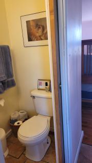 Angel cottage with a sauna or The Cozy with a jacuzzi tub, both are studios with a view of Mount Shasta - Mount Shasta - 1