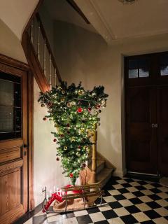 Maison Comtale - Rochefort - 4