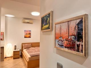 Private Studio Center Opera and Nevski Cathedral - 5