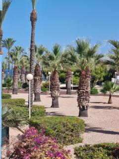 Zafiro Apartment Cabo Roig - Orihuela - 9