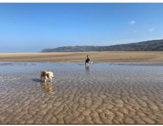 Anglesey Escape - Pentraeth - 5