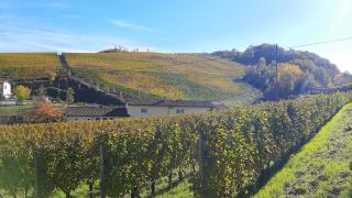Ciabot delle Aie - Barolo - Barolo - 3