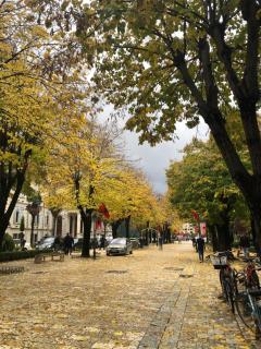 Cozy Room Center Shkoder - 1