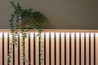 Japandi-Inspired Apt in the Heart of Oxford - Oxford - 6