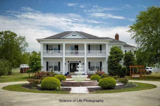 2-bedroom apartment, Pets welcome! - 9