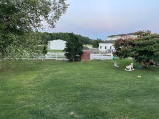 2-bedroom apartment, Pets welcome! - 8