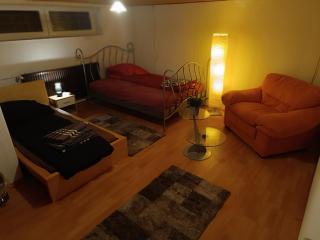 Apartment Untergeschoß, 24 H Check-in,Tv,Internet,Küche, Bad, 2 Guest, freeparking,im Keller, VIP Shuttle Service - Hannover - 7