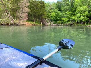 *NEW* Green Cedar Lodge, Nature Lovers Dream! - Oak Ridge - 3
