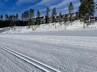 Vuokatti Chalets Aarni - Vuokatti - 7