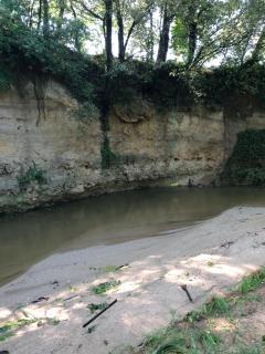 L'Olivier Fleurie Barjols - 7