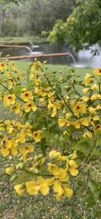 Delirius Hospedagem - Itamonte - 9