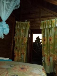 Berkey's Jungle Paradise Resort - 1