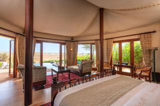 Al Maha, a Luxury Collection Desert Resort & Spa, Dubai - 5