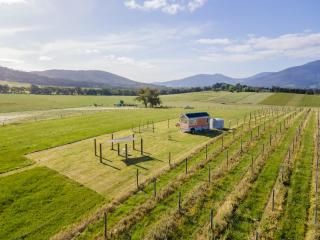 Warburton Tiny House - Tiny Stays - 8