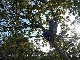 Jungle Base Camp - 1