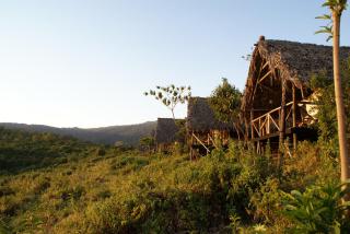 Crater Forest Tented Lodge - 5