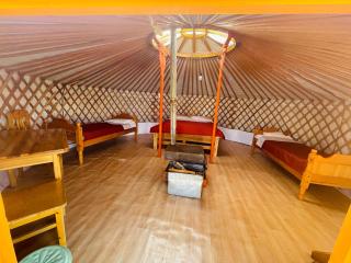 Tungalag tamir tourist camp - - 5