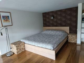 River Vilnele View Studio - 6