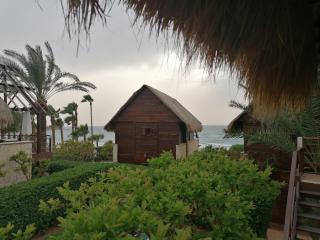 Laguava Resort - Ar Rumaylah - 8